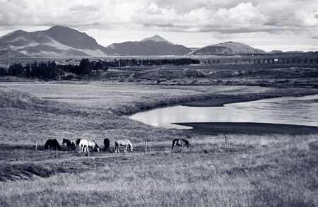 Icelandic Landscape